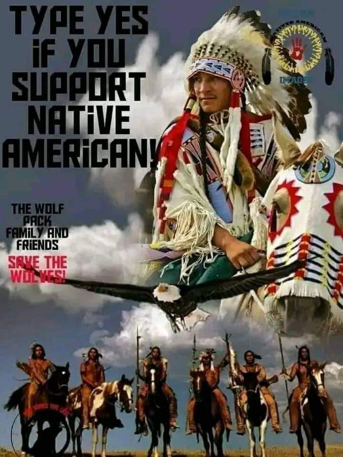 Native American Culture tweet media