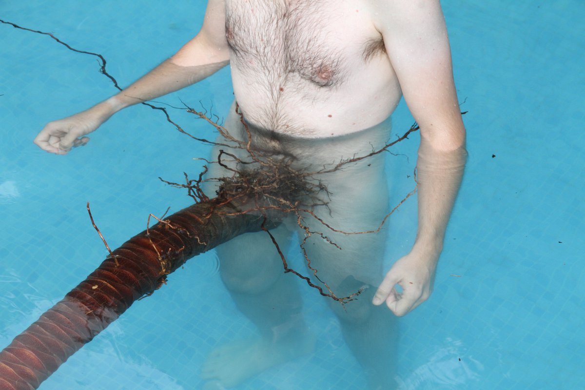 PLANT MAGIC film still / 💚In harmony with nature🍆 
antoniodasilvafilms.com/plant-magic