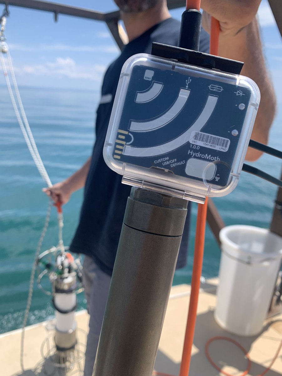 Carola Chicco tweet media