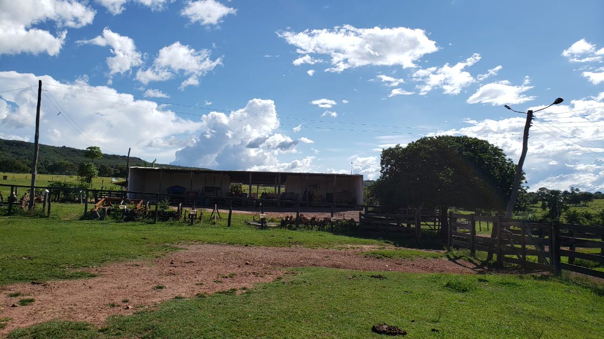 BusinnesLCR's tweet photo. 🌾🏞️ Fazenda de dupla aptidão em Piranhas/GO. 1.700 hectares, 850 ha para lavoura. Infraestrutura completa e documentação em dia. R$ 38.000,00/ha. Entre em contato para mais informações e agendamento de visita. 🐄🌳 https://t.co/WjpAat9nSz