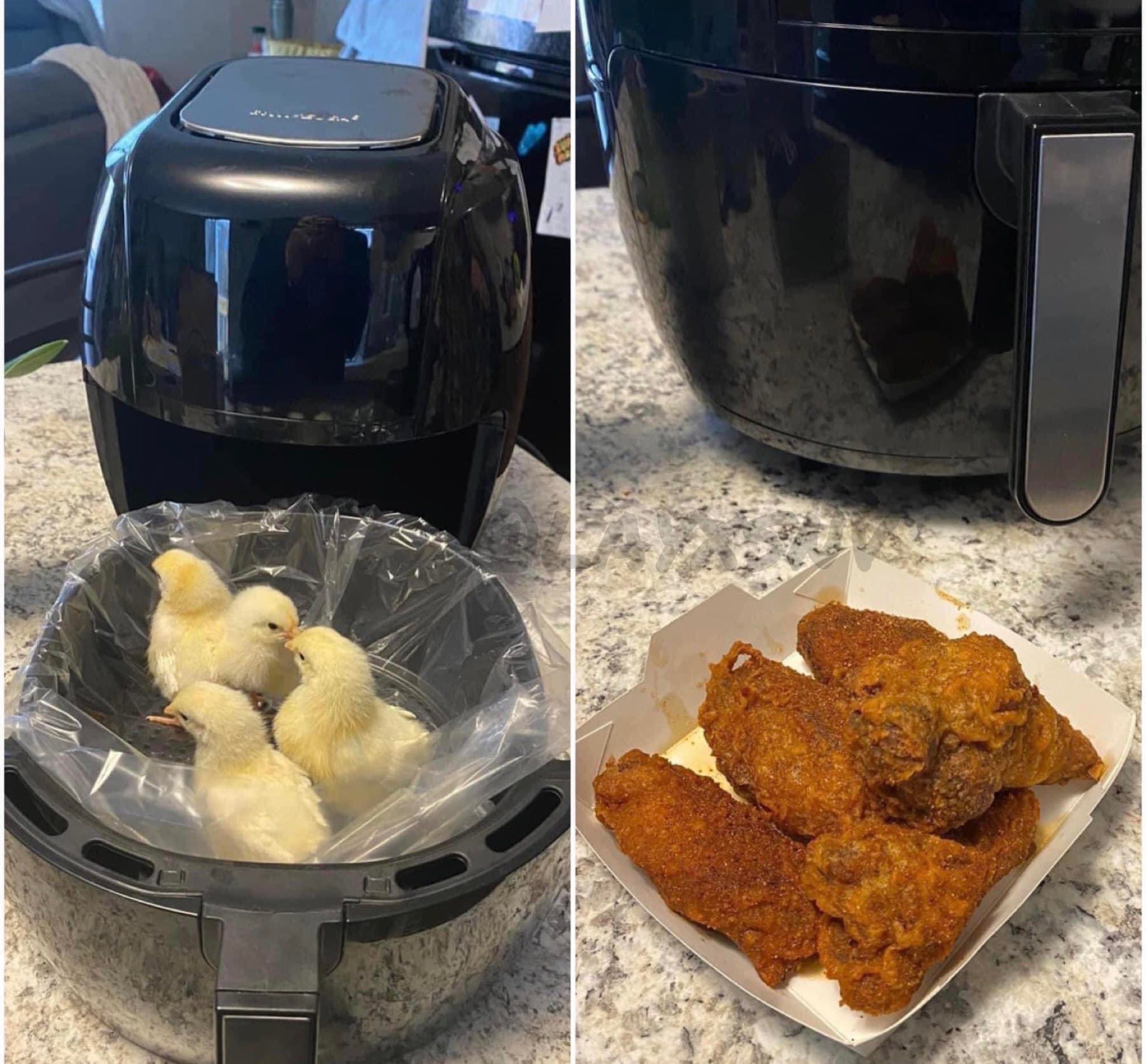 Can You Put Parchment Paper in an Air Fryer in 2023?
