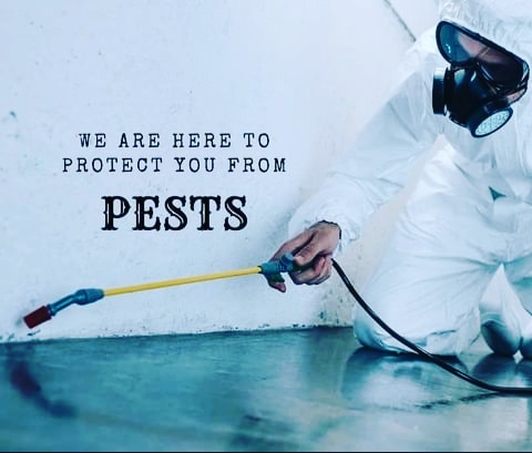 Protect your your loved ones from the infestation of pests,  give us a call today ☎️+254769545458

Maina Njenga Kamene Goro National Assembly Aisha ChatGPT Kanini Kega Andrew Tate