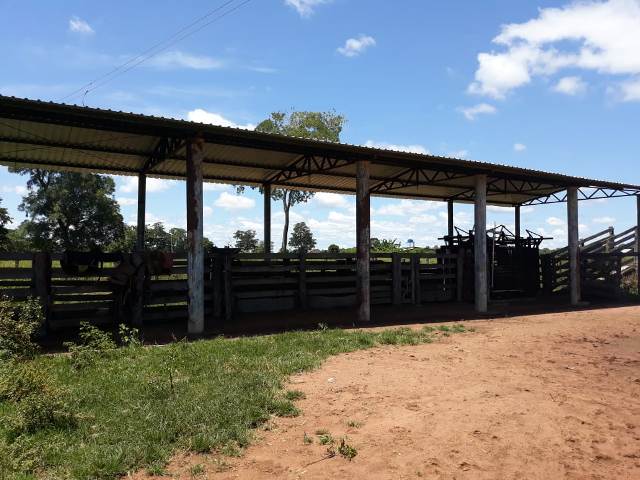 BusinnesLCR's tweet photo. 🌾🏞️ Fazenda de dupla aptidão em Cocalinho/MT. 5.594 hectares, 300 ha para agricultura. Infraestrutura completa e documentação em dia. R$ 9.840,00/ha (negociável). Entre em contato: (62) 99999-4018 🐄🌳 https://t.co/L4tKhMT0e7