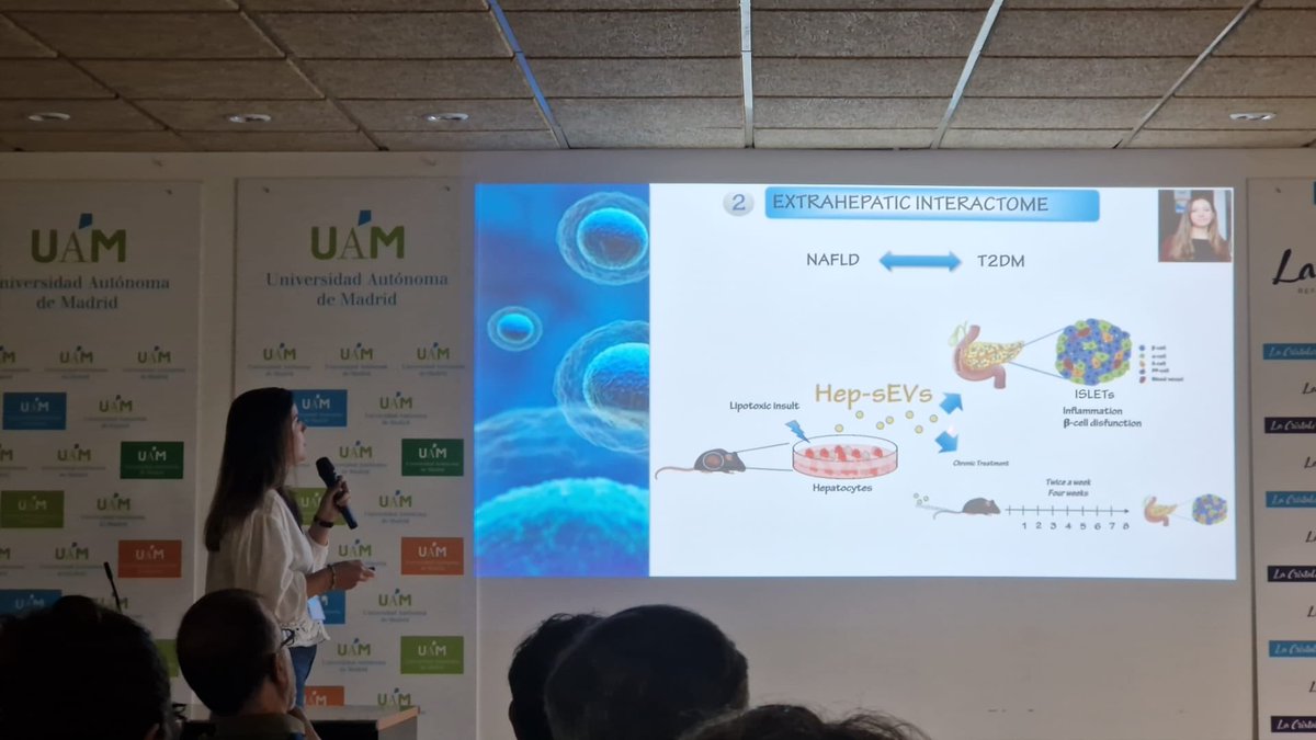 FatlivL's tweet image. 🧪🫧 
@FatlivL is present today at #Retreat2023IIBM! Our senior scientist @irmagarm is giving a Flash Talk on the role of EVs in the intra- and extrahepatic interactome in NAFLD. Well-done!! 
‼️🚨‼️