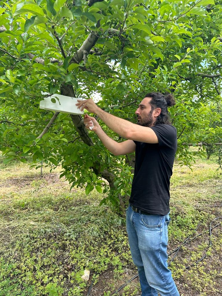 #Korkuteli’nde #Buğday da Sarı Pas Hastalığı #Domates Hastalık ve zararlıları hakkında bilgilendirme yapıldı
#Kaş’ta #akdenizmeyvesineği ve elma ic kurdu icin tuzakların kontrolleri gerçekleştirildi. <a href="/ibrahimyumakli/">İbrahim Yumaklı</a> <a href="/ersinyazici1/">Ersin YAZICI</a> <a href="/gokhankaraca_/">Gökhan Karaca</a> 
#GelecekTarımda #TarımAntalyada