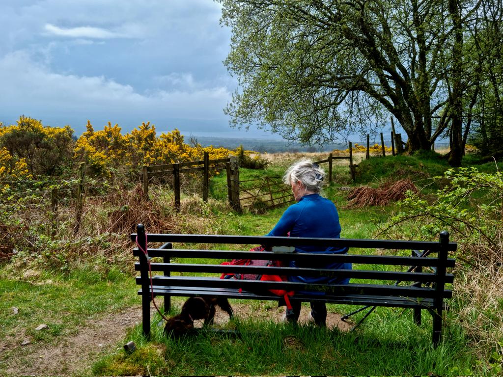 Ready for the picnic - looking over to Balmaha and Loch Lomond- Happy Wednesday,friends 
#ScotlandisNow #StormHour #photography #photooftheday #landscape #OutAndAboutScotland #landscapephotography 
@VisitScotland @ScotsMagazine #friends #PhotoHour #stvsnaps #beautiful #wednesday