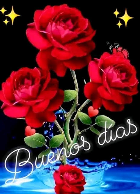 Buenos días ☕
#NoMasInjerenciaYankee
@Carolina_0791 @CHarden49 @aaa_zam @Deyanira644 @MayraPri21 @MaianaNoguera @marimar679891 @estr3mao1411 @Michell70380832 @hectorgaldanap feliz dia