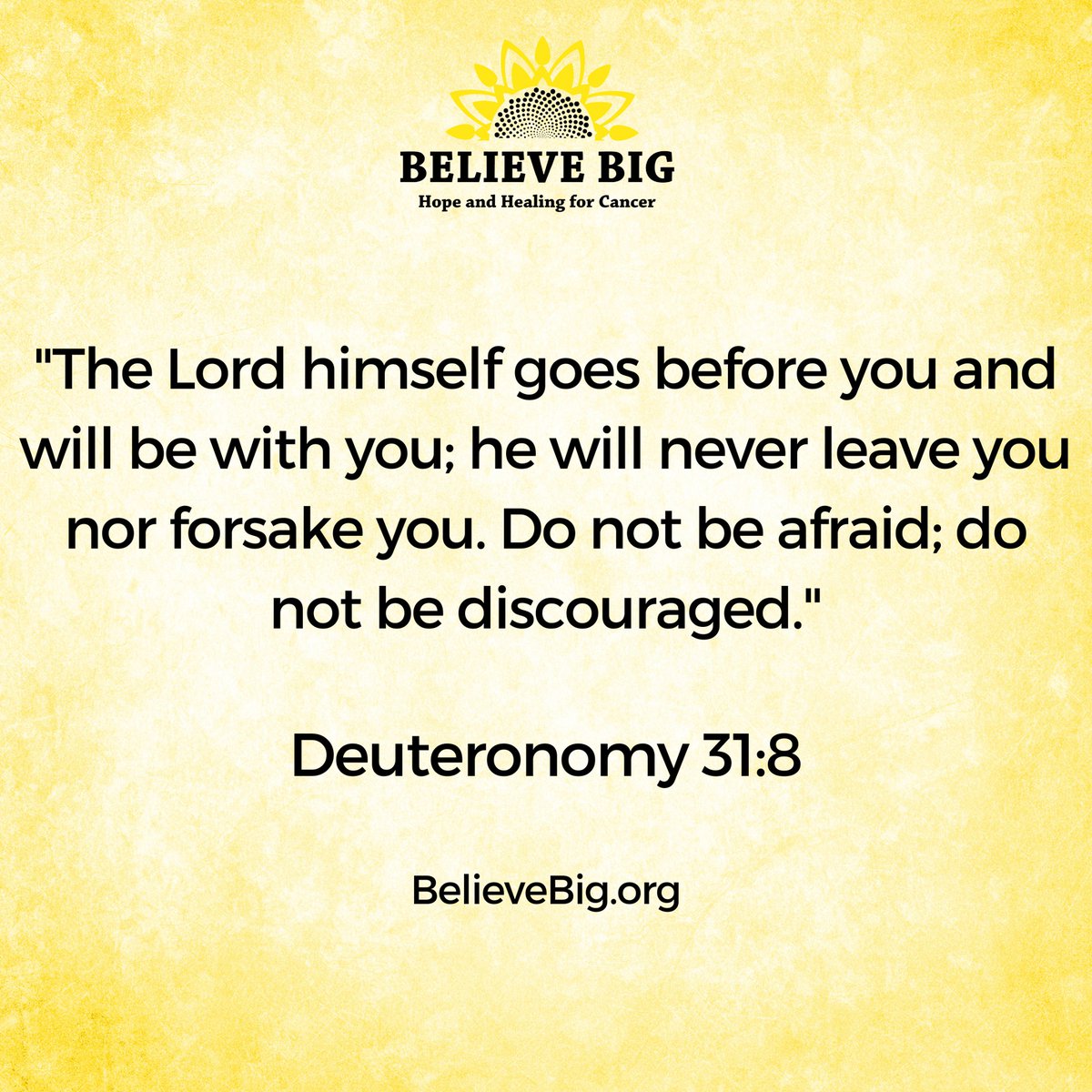 'The Lord himself goes before you and will be with you; he will never leave you nor forsake you. Do not be afraid; do not be discouraged.' - Deuteronomy 31:8