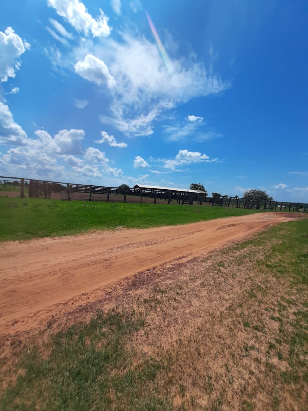 BusinnesLCR's tweet photo. 🌾🏞️ Fazenda em São Félix do Araguaia/MT. 8.599,68 hectares, 4.000 ha para agricultura. Infraestrutura completa e documentação em dia. R$ 100.000.000,00 (porteira aberta). Entre em contato: (62) 9 9999-4018 🐄🌳 https://t.co/l6CHjKWbVN