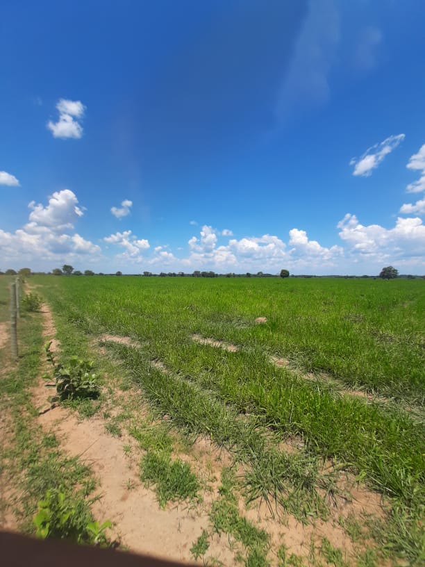 BusinnesLCR's tweet photo. 🌾🏞️ Fazenda em São Félix do Araguaia/MT. 8.599,68 hectares, 4.000 ha para agricultura. Infraestrutura completa e documentação em dia. R$ 100.000.000,00 (porteira aberta). Entre em contato: (62) 9 9999-4018 🐄🌳 https://t.co/l6CHjKWbVN