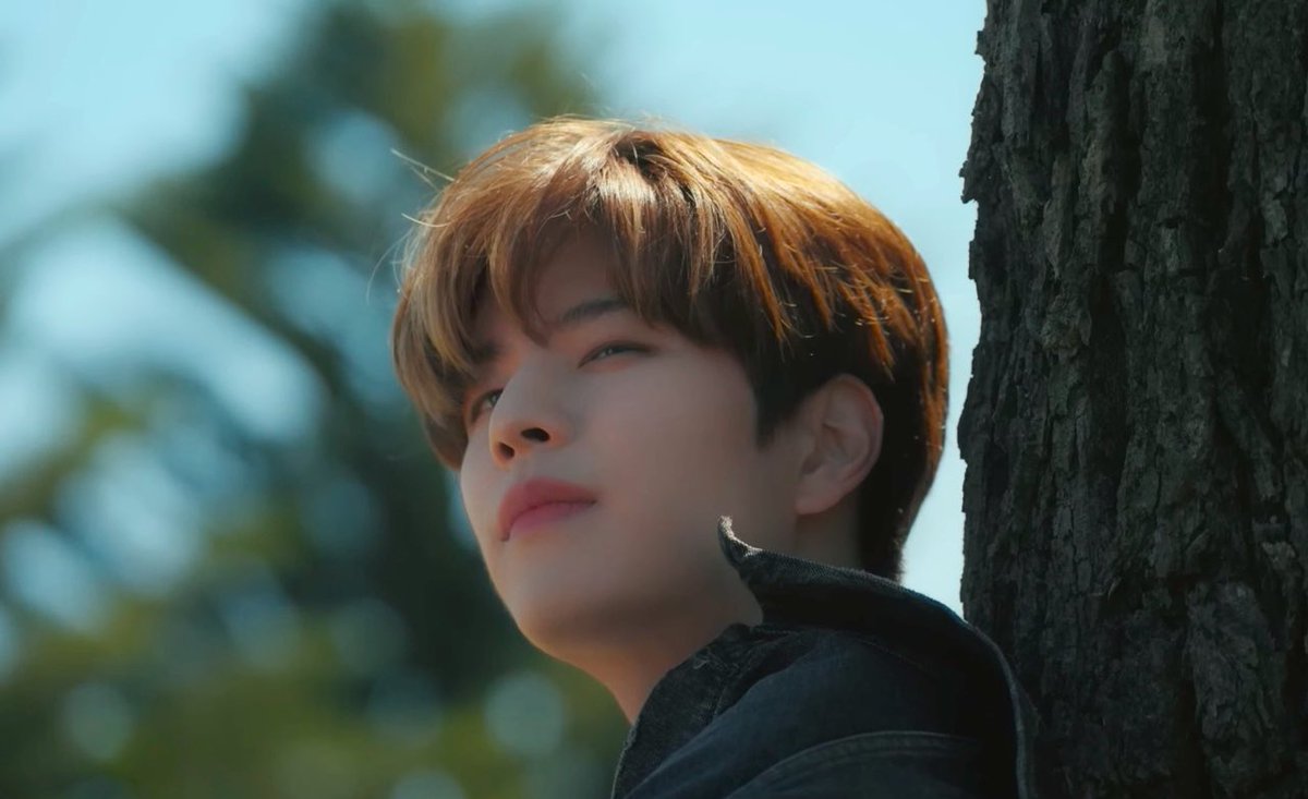 FNF ㅡ SEUNGMIN