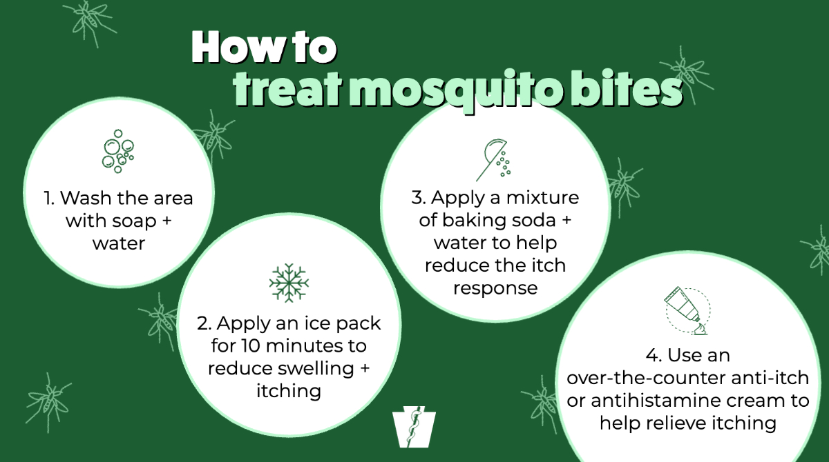 PAHealthDept's tweet photo. When a mosquito bites, some people have only a mild reaction—other people react more strongly + a large area of swelling, soreness + redness can occur. Follow these tips for treating "pesty" mosquito bites ⬇️ https://t.co/oabqlNQkKF