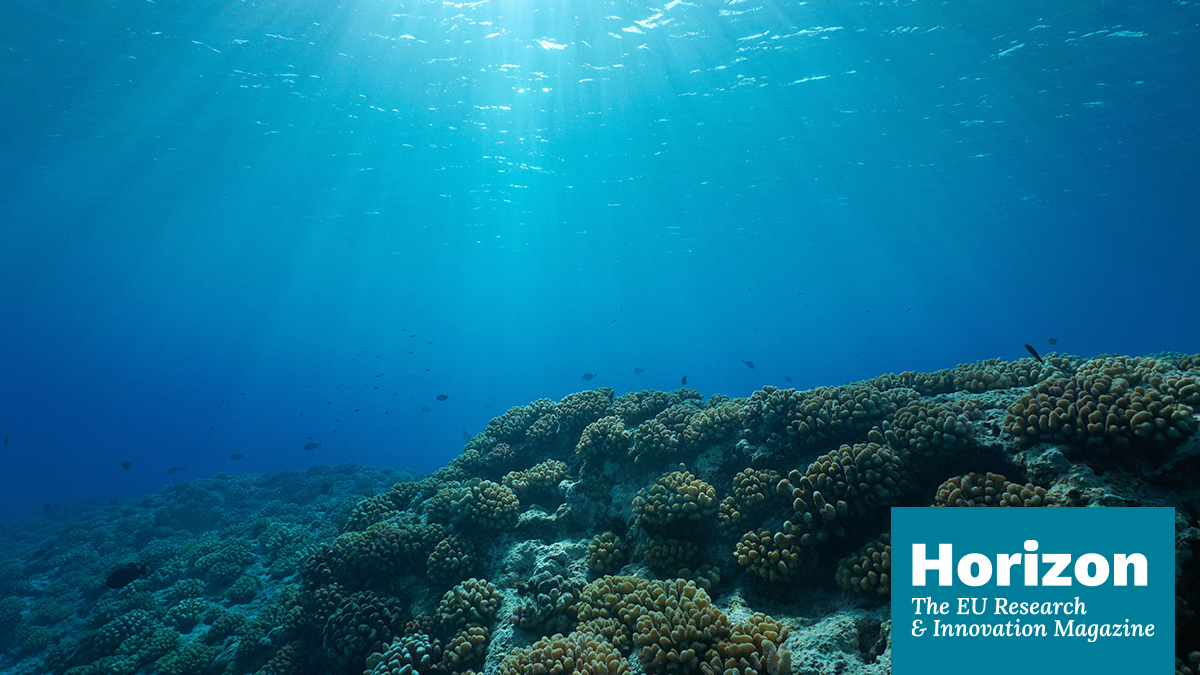 Covering about 70% of the Earth, oceans are largely unexplored. But scientists are now devising ways to better monitor and protect these precious habitats. Dive in for more ➡️ bit.ly/3X40O9l #ResearchImpactEU #MissionOcean