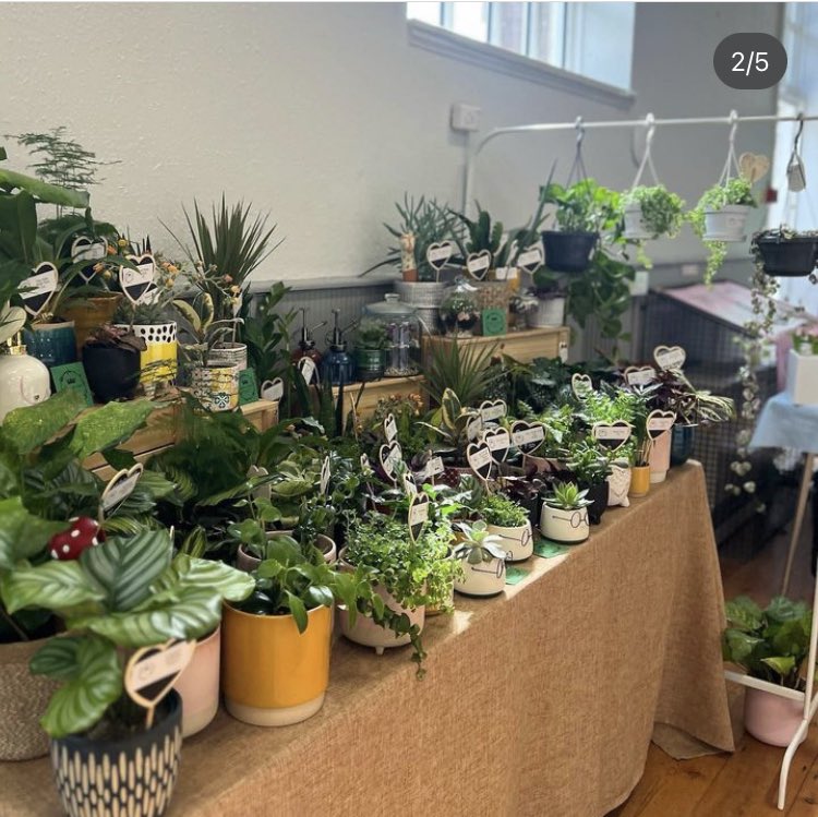 Base Camp Industries (@basecamp_inds) on Twitter photo This Saturday! The Base Camp Bazaar wings it’s way to Emmanuel Church Hall in #saltburn with a <a href="/VintageVera66/">Vintage Vera</a> kilo sale
Stalls from indie designers, makers & sellers. Think slow fashion, prints, plants, vintage homewares & more
Food from the amazing #Gutsygirl
Free entry
10-4pm This Saturday! The Base Camp Bazaar wings it’s way to Emmanuel Church Hall in #saltburn with a <a href="/VintageVera66/">Vintage Vera</a> kilo sale
Stalls from indie designers, makers & sellers. Think slow fashion, prints, plants, vintage homewares & more
Food from the amazing #Gutsygirl
Free entry
10-4pm