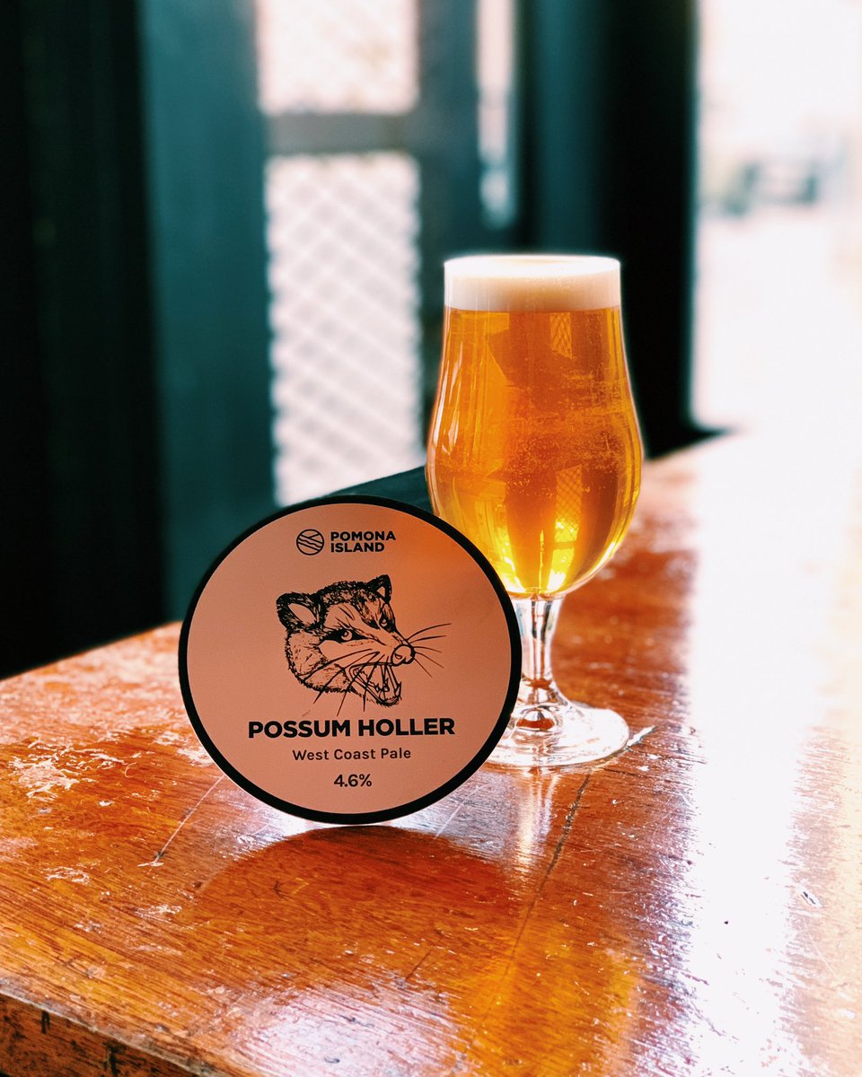 Possum Holler ~ A 4.6% West Coast Pale from <a href="/PomonaIsland/">Pomona Island</a> on cask now!

Pair it with a steak sandwich from <a href="/Tendercow/">Tender Cow</a> or some Drunk Noodles from Chilli B 🍻

#JackInTheBoxNQ #MackieMayor #PomonaIslandBrewCo #NorthernQuarter #Manchester