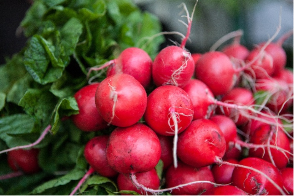 Big news! <a href="/NYCHealthSystem/">NYC Health + Hospitals</a> has launched its new season of farmers markets at its hospitals and community health centers across the city! Find the complete schedule to get fresh, delicious produce for your next meal: ow.ly/Rbwt104KuLL