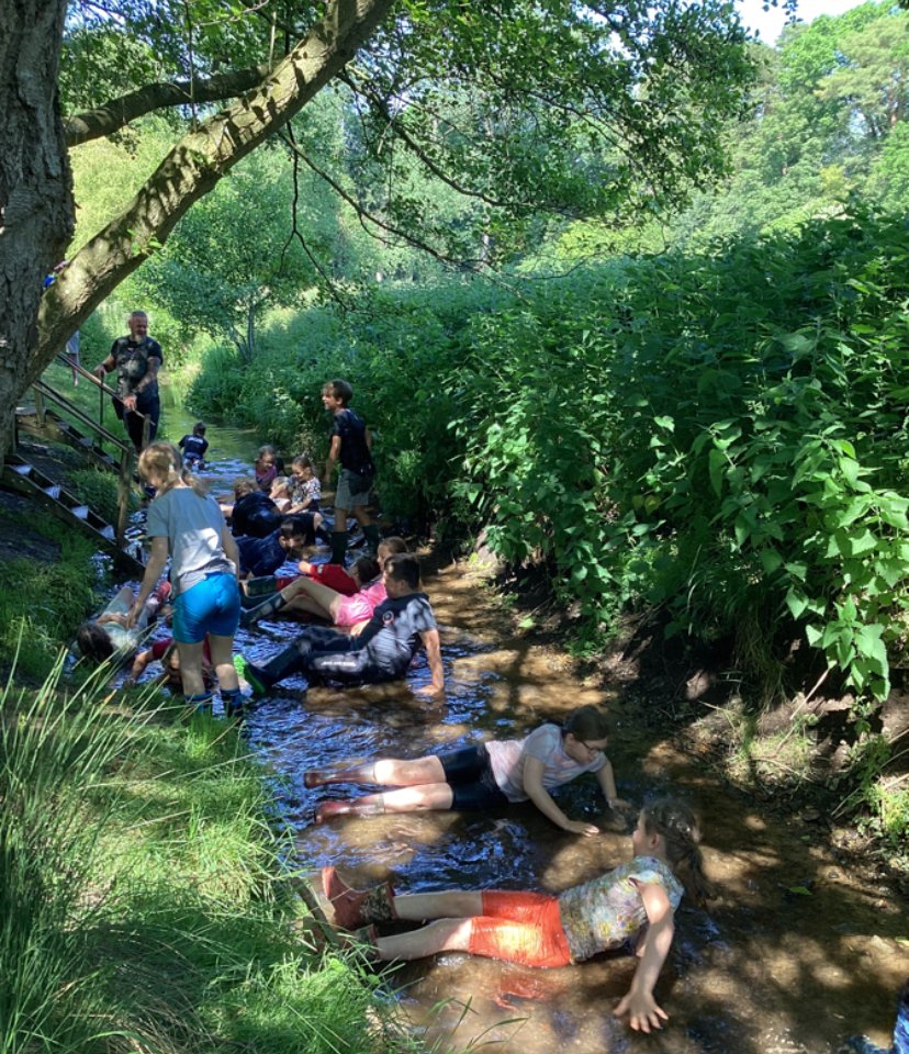 Yesterday the children caught lots of crayfish to look at whilst pond dipping.  They also tried their own form of pond dipping!  Today we are tracking, slip sliding and then a bat walk this evening <a href="/WhitwellHall/">Whitwell Hall</a>