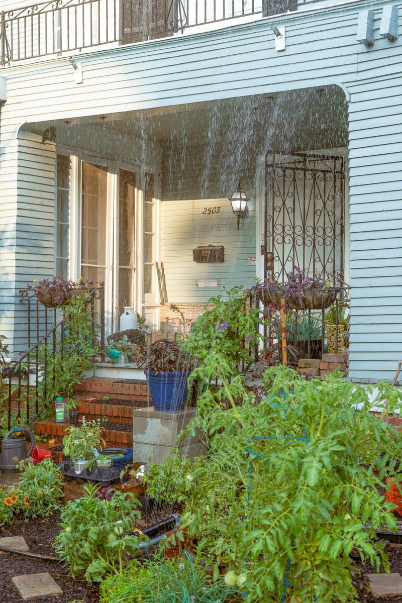 new orleans garden scenes