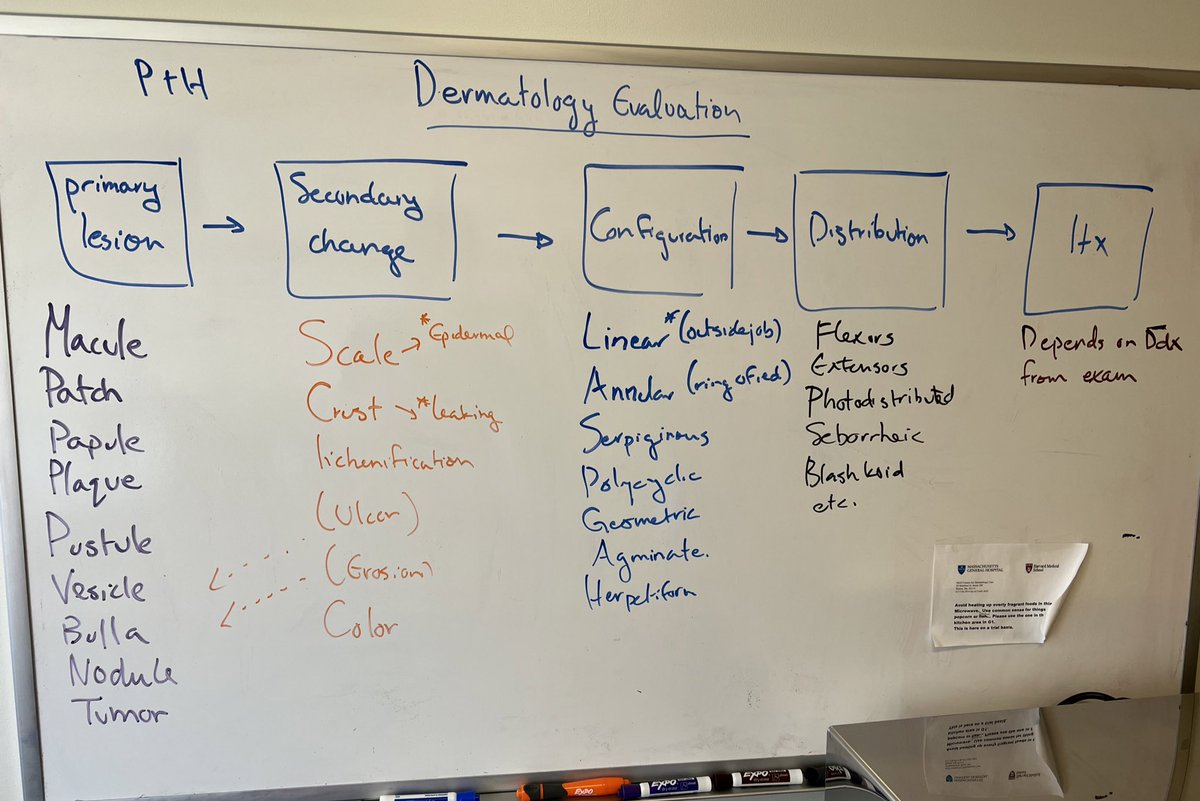 DrStevenTChen's tweet image. Bringing it back to the basics in clinic today! 

Morphology first in derm, or as I now always say, P&amp;amp;H, not H&amp;amp;P!

#dermtwitter #medtwitter