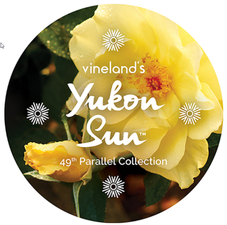 49throses tweet media