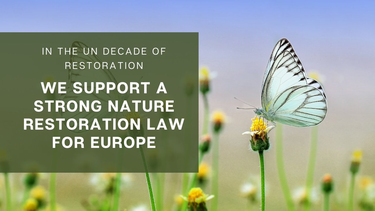 🇪🇺 Over 50 CEOs and business leaders are calling on the <a href="/Europarl_EN/">European Parliament</a> to implement comprehensive policies and regulations to #RestoreNature.

📣 The time to act is now.

🔗 Read <a href="/EvaZabey1/">Eva Zabey</a>'s article on why this vote is critical for the future of the EU 👉 ow.ly/okQg50OMSbq