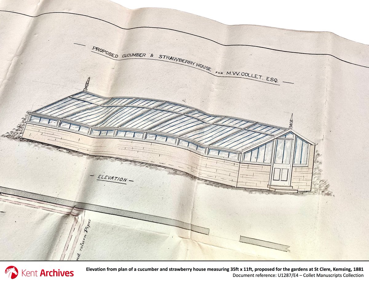 kent_archives's tweet image. With built-in staging, overhead lighting and levered roof ventilation, this impressive greenhouse proposed in 1881 for the gardens at @stclere #Kemsing is enough to make any gardener as green as a cucumber with envy…

🥒 See U1287/E4: bit.ly/3CpC2aa
#WorldCucumberDay