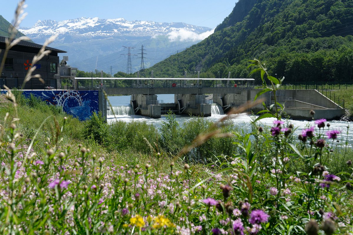 <a href="/EDFofficiel/">EDF</a> is committed to #biodiversity and supports the European initiative on nature restoration. We call on the <a href="/EUparliament/">European Parliament</a> not to reject this important regulation in tomorrow's vote.  ☝️Let’s work together to find compromises!