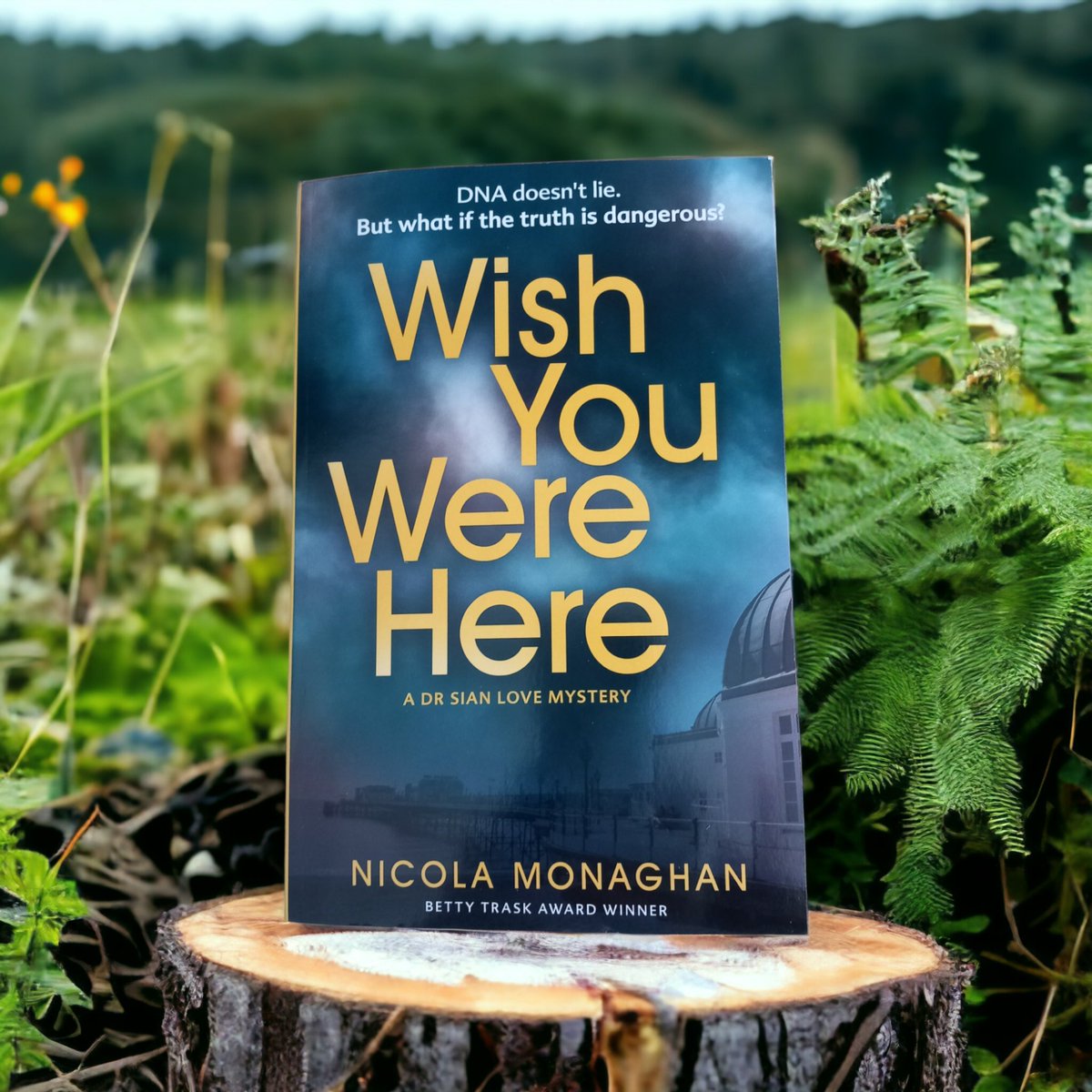 And thank you to @VERVE_Books fir sending me #WishYouWereHere by #NicolaMonaghan for a #BlogTour #Blogger #BookTwitter #SoGrateful #SoThankful #BookBlogger