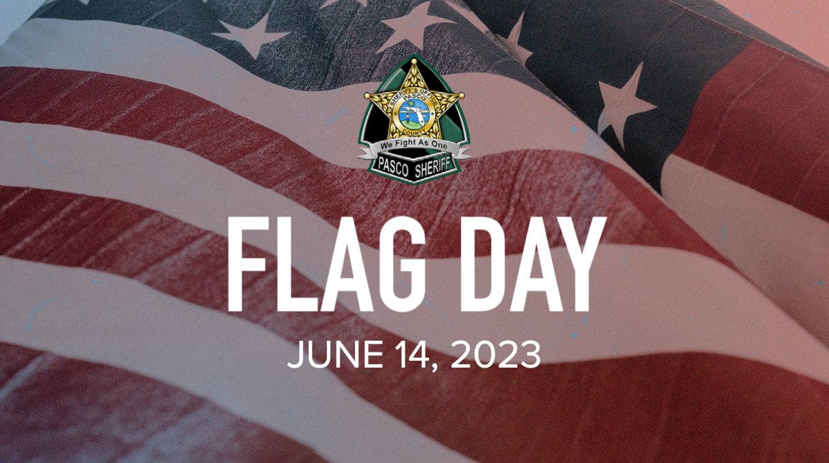 Pasco Sheriff tweet media