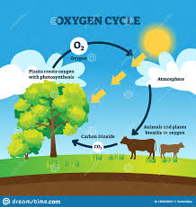 @fdragoni A noi lo spigavano dalle elementari. CO2 essenziale per il ciclo della vita, per i vegetali e per gli animali.