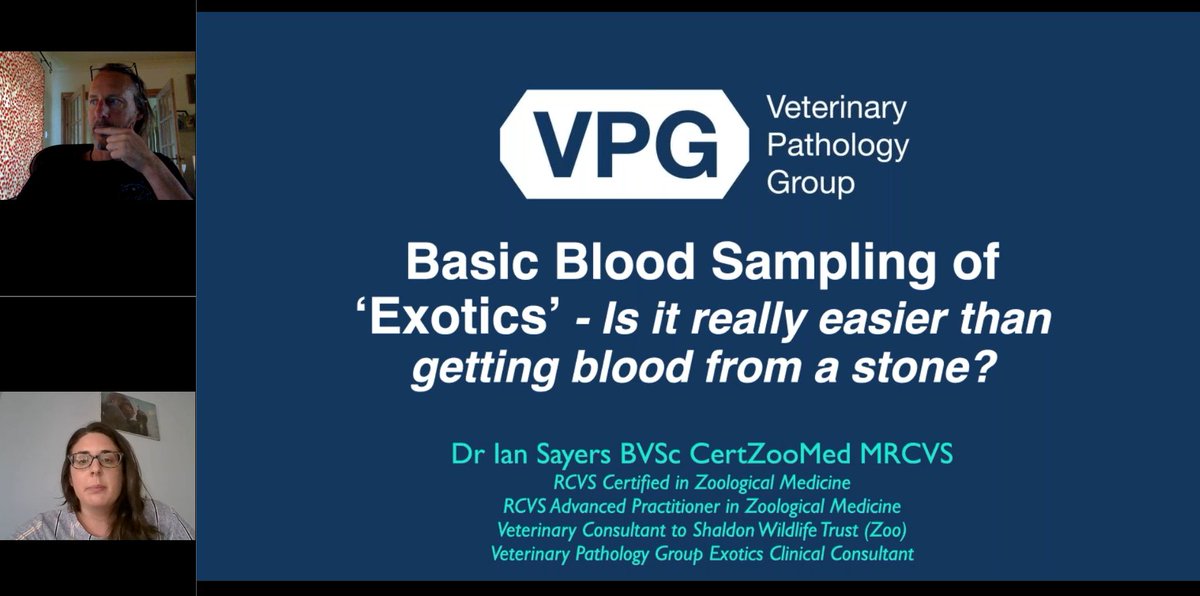 TheVPG_'s tweet image. Did you miss our recent webinar on &apos;Basic Blood Sampling of Exotics&apos;?

The recording is available to watch back at a time that suits you on our website.

Watch it here &amp;gt; eu1.hubs.ly/H04527z0

#exoticspecies #bloodsampling #actionablediagnostics #supportingveterinarycommunity