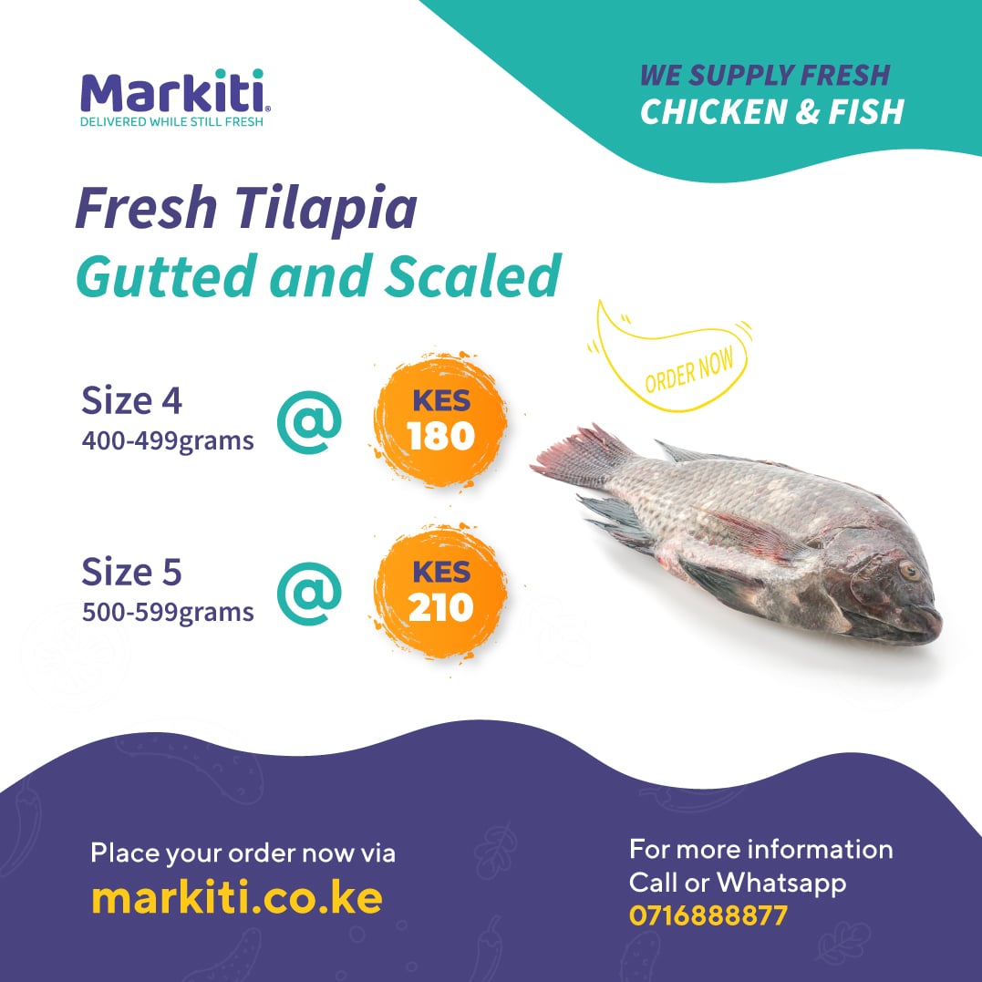 Markitiapp's tweet photo. Fresh, gutted, scaled and affordable Tilapia brought to you by Markiti.
#Markiti #MarkitiApp #FishFillets #KeepItCool #NairobiFish #Restaurants #FishFillets #Tilapia https://t.co/QwXBcdtfVb