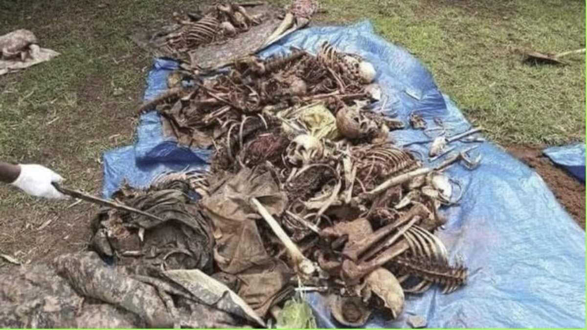 ShamisiaA's tweet photo. Godina Wallagga Bahaa Ona Kiramuu keessatti lafeen ilmaan Oromoo qulqulluu hidhatoota ‘Amhara’ tiin jumlaan ajjeefaman argame. Oromiyaa guutuu keessa akkanumatti ajjeefamuun itti fufee jira. https://t.co/9YpIjJTPXp #oromovoice #OromosMassacredin2023