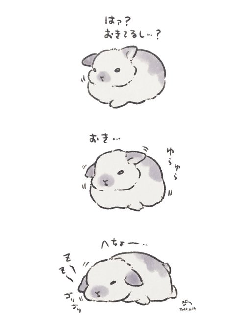 🐰I'm not sleepy...zzzzzzz