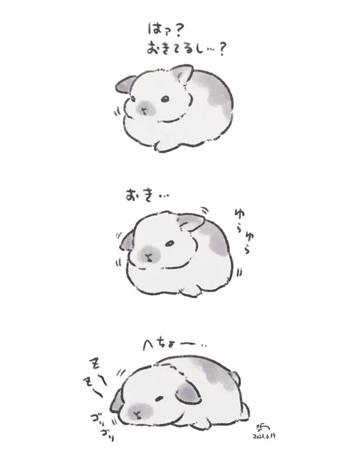 🐰I'm not sleepy...zzzzzzz