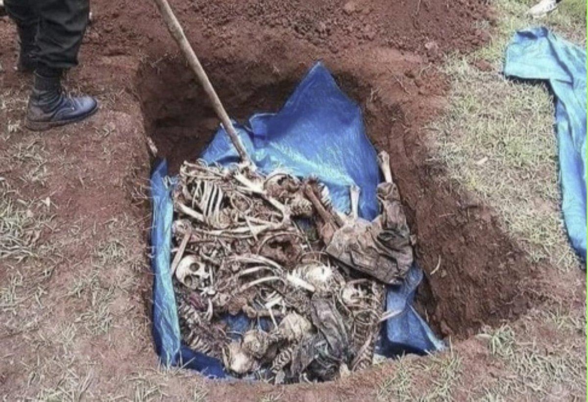 Hoggansi ABO-WBO Dha!!!! (@hoggansi52365) on Twitter photo De nylig Oppdaget masse-skjelettene av Oromo i V. Oromia viser brutaliteten til Fano, ENDF. Oromoene krever rettferdighet for alle ofre. <a href="/Regjeringen/">Regjeringen</a> <a href="/panoramanyheter/">Panorama</a> <a href="/NRKno/">NRK</a> <a href="/igadsecretariat/">IGAD Secretariat</a> <a href="/NorwayMFA/">Norway MFA</a> <a href="/AP/">The Associated Press</a> #LetOromosLive De nylig Oppdaget masse-skjelettene av Oromo i V. Oromia viser brutaliteten til Fano, ENDF. Oromoene krever rettferdighet for alle ofre. <a href="/Regjeringen/">Regjeringen</a> <a href="/panoramanyheter/">Panorama</a> <a href="/NRKno/">NRK</a> <a href="/igadsecretariat/">IGAD Secretariat</a> <a href="/NorwayMFA/">Norway MFA</a> <a href="/AP/">The Associated Press</a> #LetOromosLive
