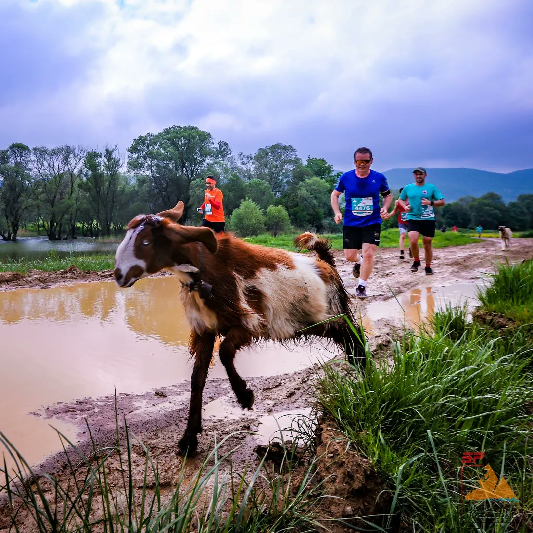 Dağyenice Ultra Trail ardından.