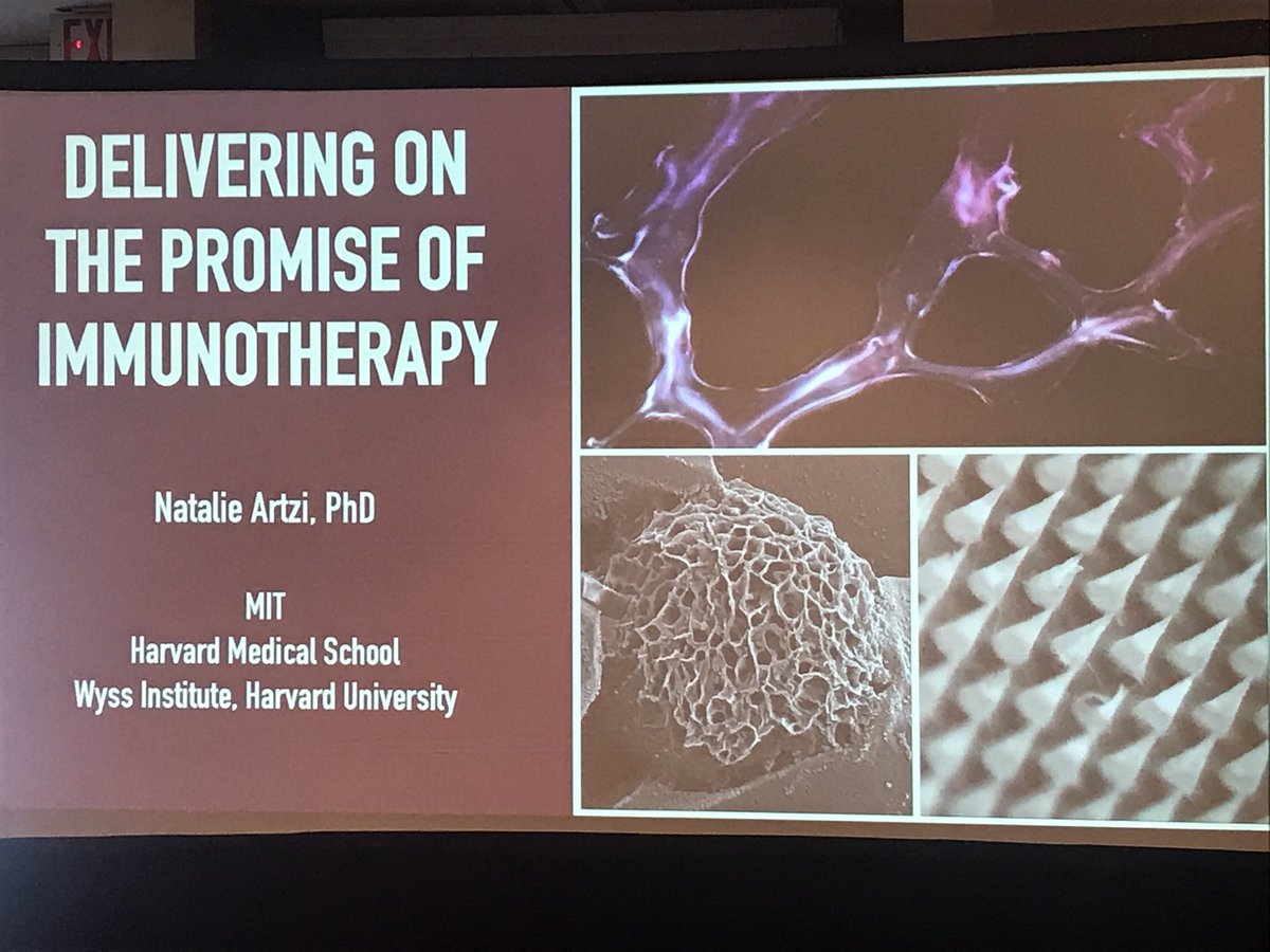 jugalsahoo's tweet photo. @NatalieArtzi starts Day 4 with her pioneering work on ‘biomaterials for immune modulation’ #Immunotherapy #BiomedicalPolymers https://t.co/QNNb9UjUO1