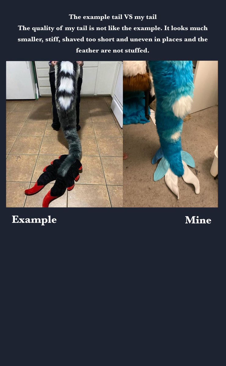 zephpaws's tweet photo. BEWARE ON INSTA USER @Bluecrowncreations 
I was SCAMMED
Please spread this like wild fire and let them know this is not ok!
There are MULTIPLE bewares on this person, they also trauma Dino on their clients and guilt trip them  when they take months to make, ship and answer them https://t.co/6zePBQ1Iyf