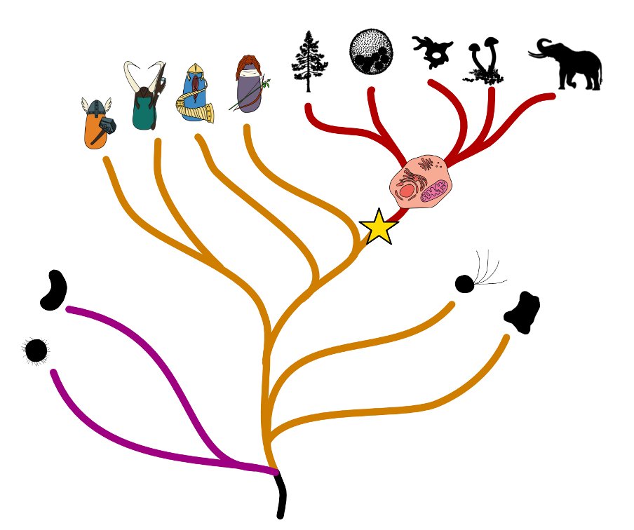 Thijs J. G. Ettema 🦠🔬🇳🇱🇸🇪🇪🇺 (@ettema_lab) on Twitter photo Our latest chapter of the Asgard saga is finally published in @nature!
See nature.com/articles/s4158… #OpenAccess
See separate twitter threads by lead authors @eme_laura and <a href="/DanielTamarit/">Daniel Tamarit</a> for background info.
Below a thread on the history of the Tree of Life . Our latest chapter of the Asgard saga is finally published in @nature!
See nature.com/articles/s4158… #OpenAccess
See separate twitter threads by lead authors @eme_laura and <a href="/DanielTamarit/">Daniel Tamarit</a> for background info.
Below a thread on the history of the Tree of Life .