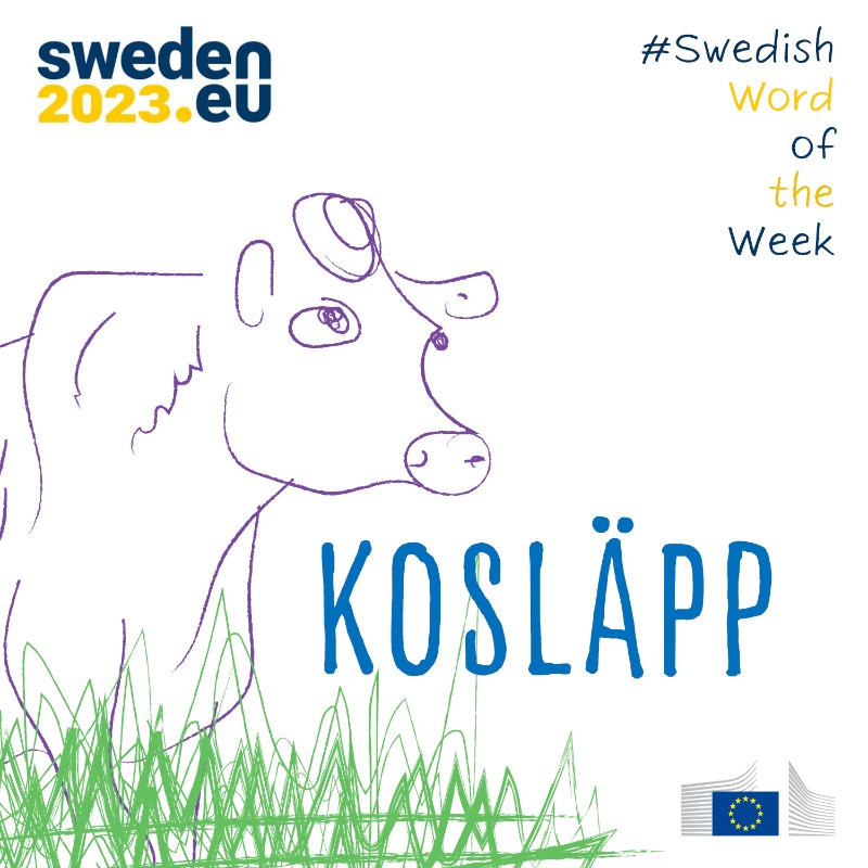 EUInterpreters's tweet photo. 🐄🐄 #Kosläpp is our next word of the #SwedishWordOfTheWeek series to celebrate @sweden2023eu 🇸🇪🇪🇺
🐮The release of cattle to pasture in the spring, or the celebration thereupon.
Join us every week to learn a new word in 🇸🇪!
#EU2023SE