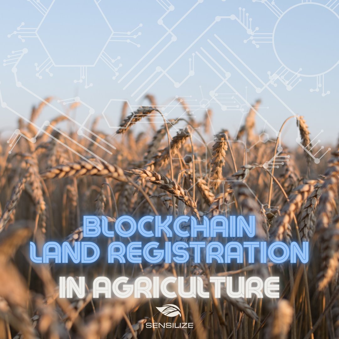 sensilize's tweet image. By leveraging blockchain&apos;s secure, decentralized ledger, farmers and landowners can more easily and transparently register and transfer land titles.

Visit our LinkedIn page to read more: bit.ly/43XZsiB

#blockchain #digitalfarming #SustainableAgriculture