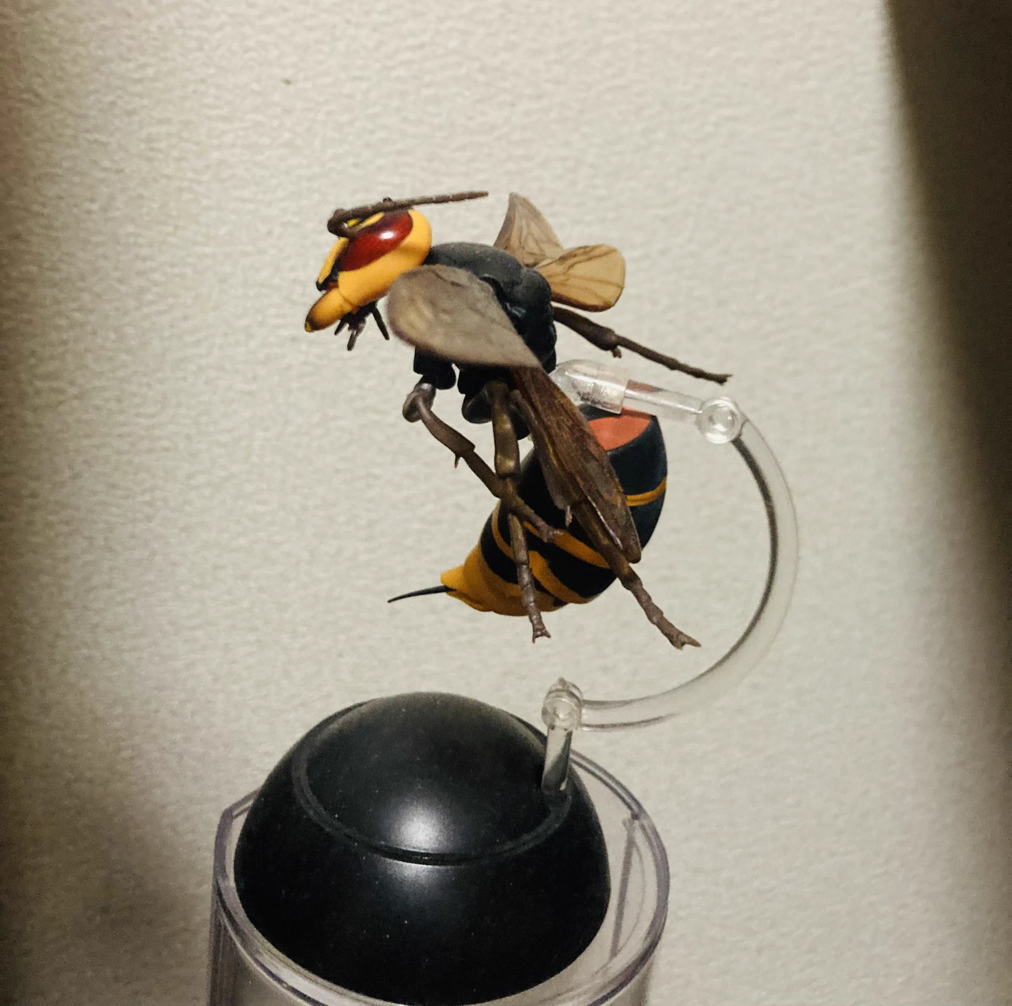 @yusai00 うちのモンスズメバチ(フィギュア)のモンちゃんです。本物は危険ですが、普段から模型を観察して見慣れておくと、いざというときに余計に慌てなくて済みます。
あと、個人的に春のクマバチくんはかわいいと思います。ホバリングしてるのを撮るのが楽しいです☺️ 