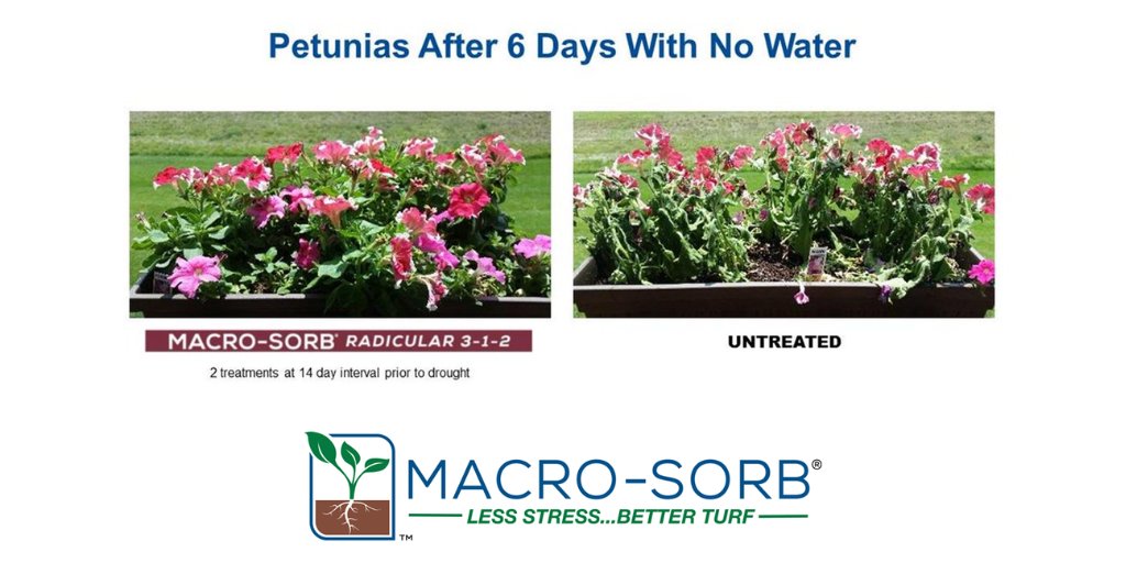 Landscape plantings feel the stress too!  Strong root systems promote ornamental plant establishment and drought-stress resistance.