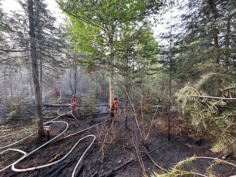 Schreiber Fire tweet media