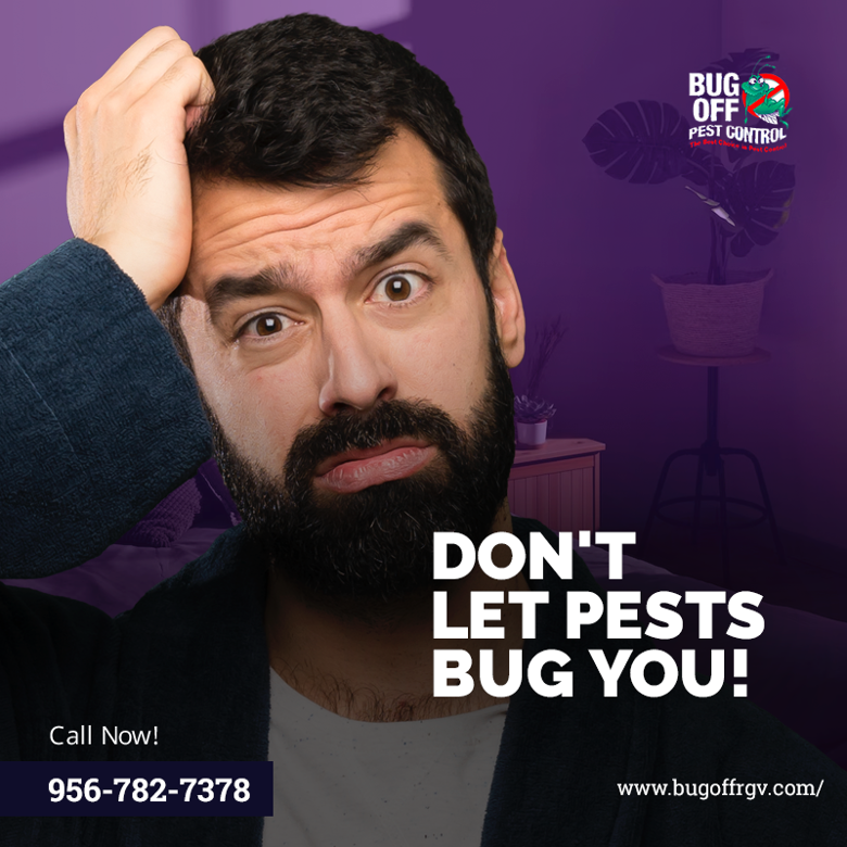 BugOffRGV's tweet image. Pests can be attracted to your home in a variety of surprising ways. If you suspect a pest problem in your home, call us right away so we can handle the issue quickly and effectively. Visit bugoffrgv.com to get started today!