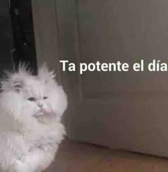 Guarromantico_'s tweet photo. Cuando amaneces y ya tienes un montón de pendientes. https://t.co/GUe4rDVihm
