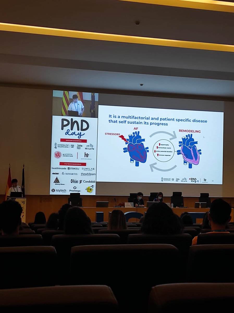 An honor to be awarded for the best scientific talk at the #IISLaFePhDDay about our #AFib in-vitro model of hiPSC-aCM🏆 @IISLaFe 

My biggest thanks to the collaborators @amcliment @CarlosFambuena (+ no Tweeters) and to the @PersonalizeAF consortium.  #PhD #CardioTwitter