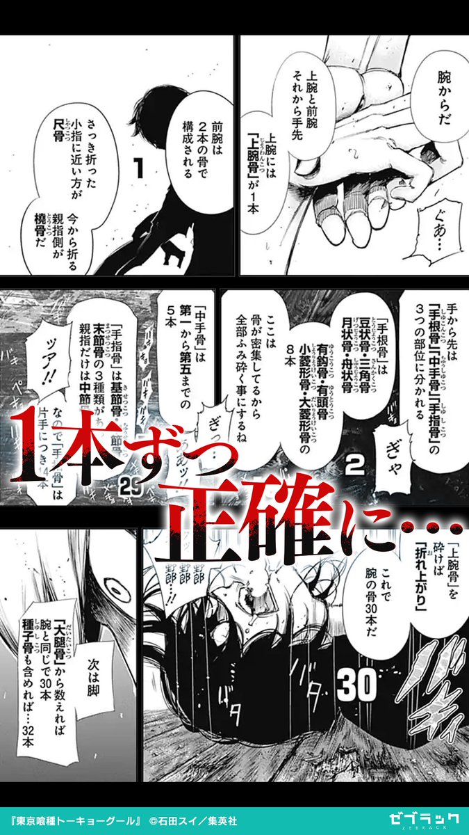 【東京喰種トーキョーグール】 "喰種"に目覚めたカネキとアヤトが相対する(3/3)  続きを読む▽ 