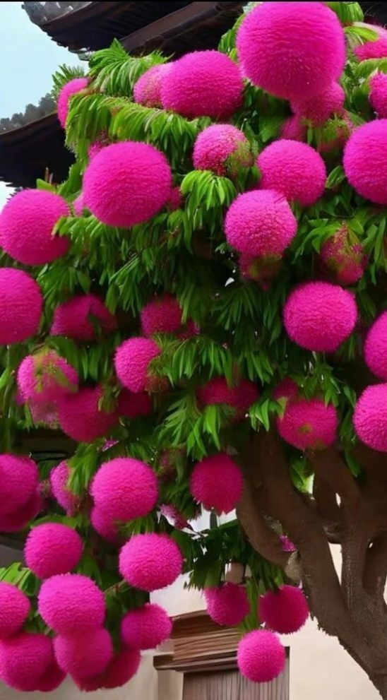 FATMABu86356487's tweet image. Allah'ın İsimleri 
#LATİF
İşlerin bütün inceliklerini bilen. 
  
 #HABİR
Her şeyin iç yüzünden, gizli tarafından haberdar olan. 
  
 #HALİM
çok  yumuşak olan.